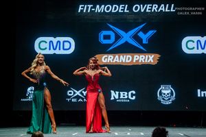 FIT-MODEL OVERALL